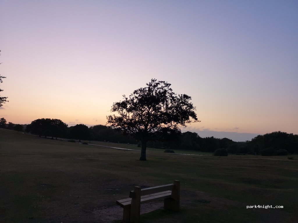 (SO43 7DA) Lyndhurst - Beaulieu Road — foto