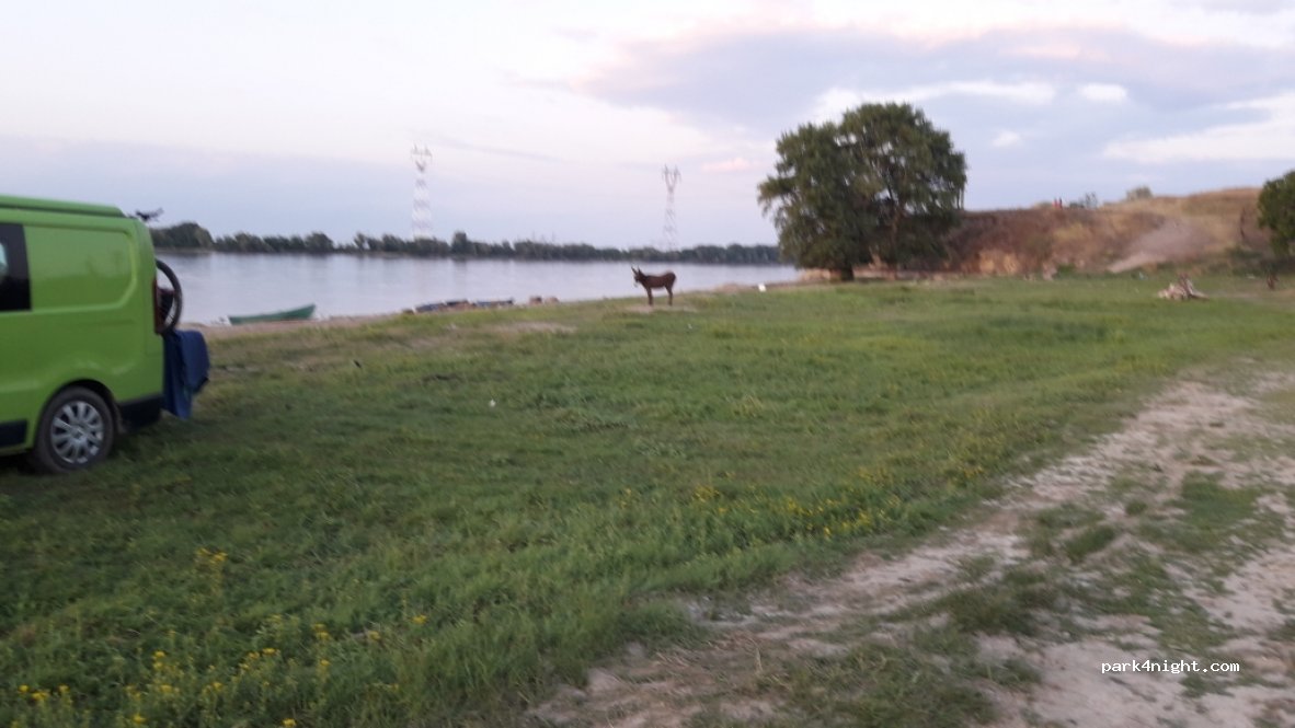 () Isaccea - DJ229T — foto 2