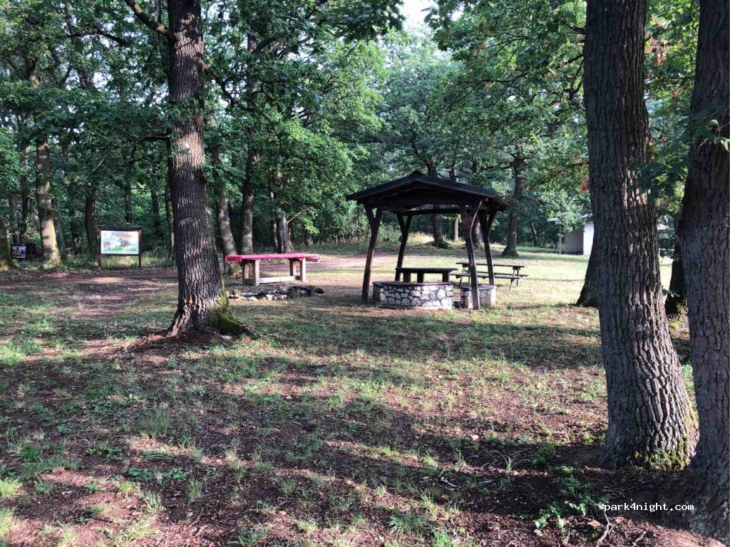 (076 82) Veľká Tŕňa - Hlavná — foto 3