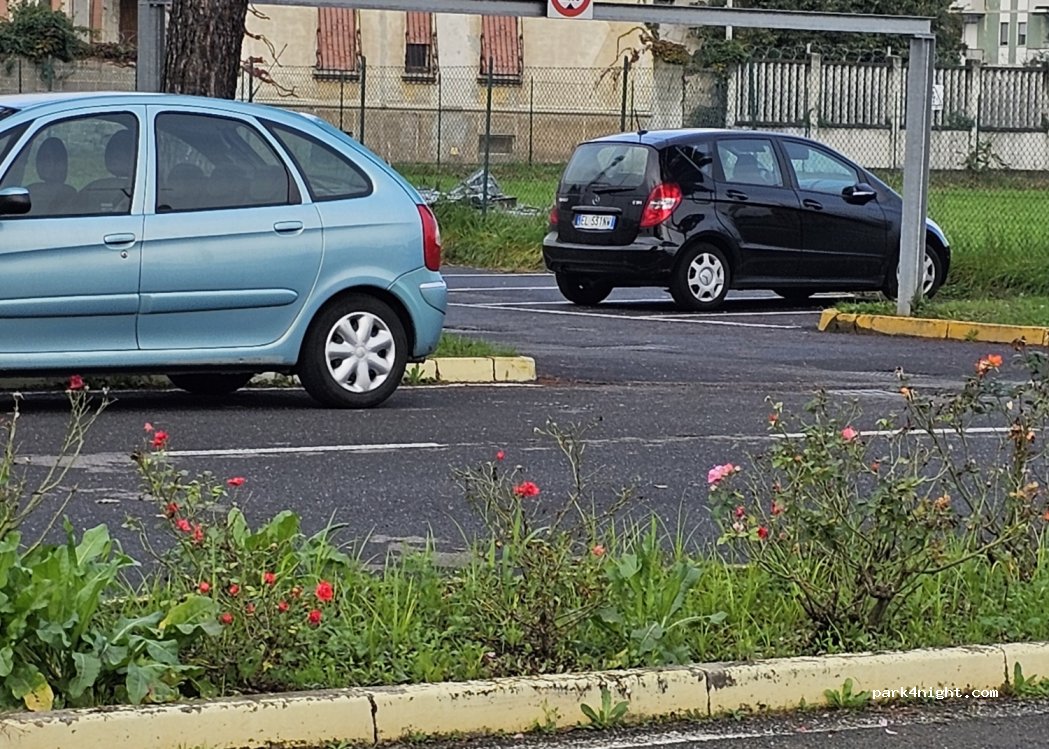 () Magenta - — foto 5