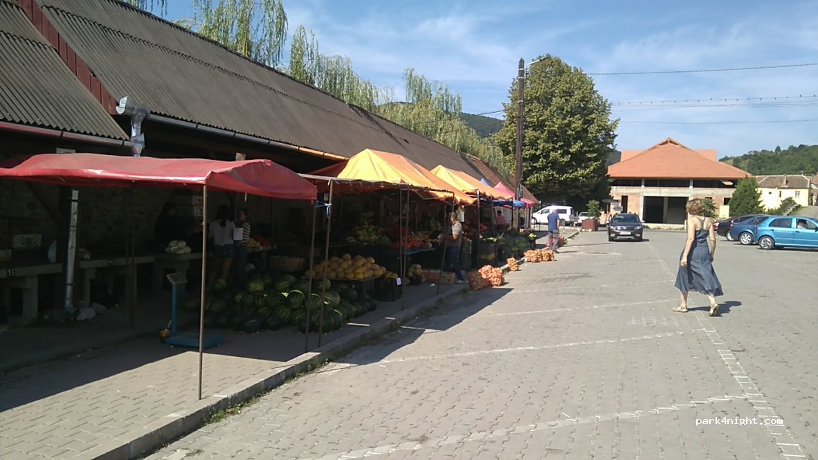 (557225) Săliște - 21 Strada Gării — foto 3