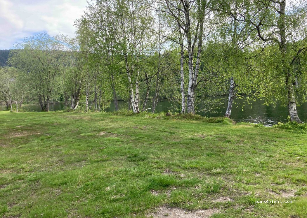 Bjerka camping — foto 2