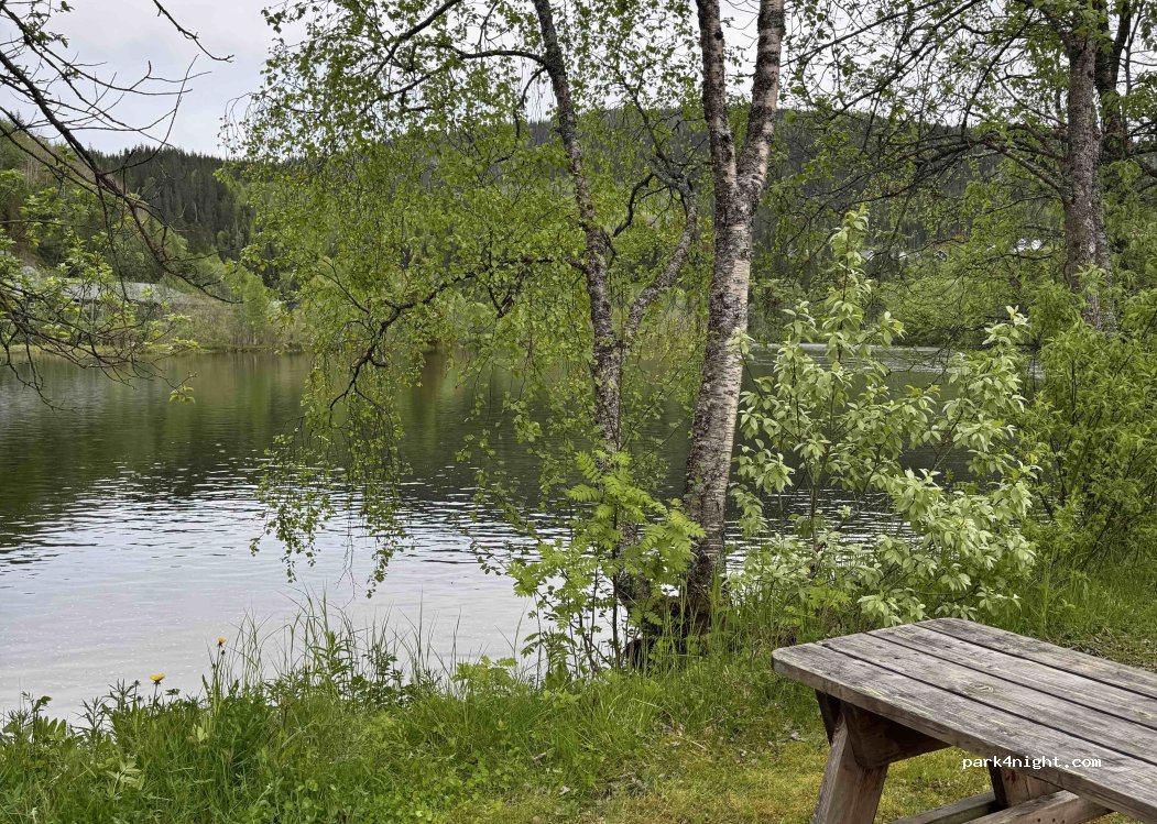 Bjerka camping — foto 5