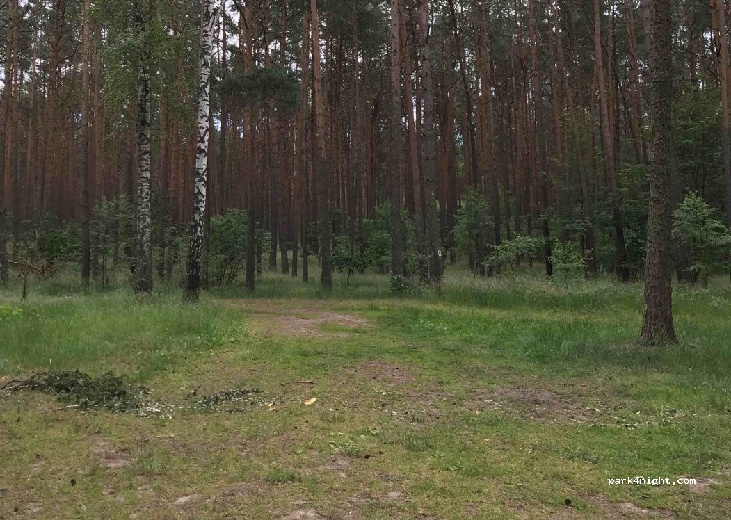 (86-100) Sulnówko - 18 Sulnówko — foto 3