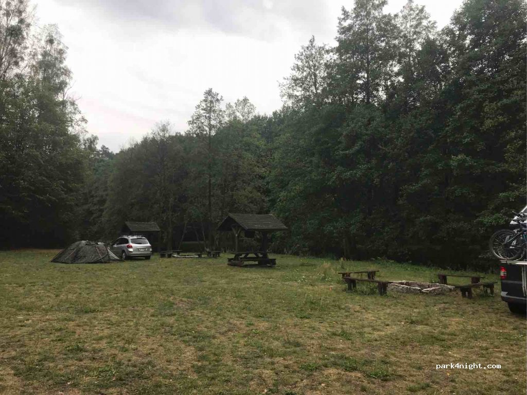Pole namiotowe DPN Kamienna — foto