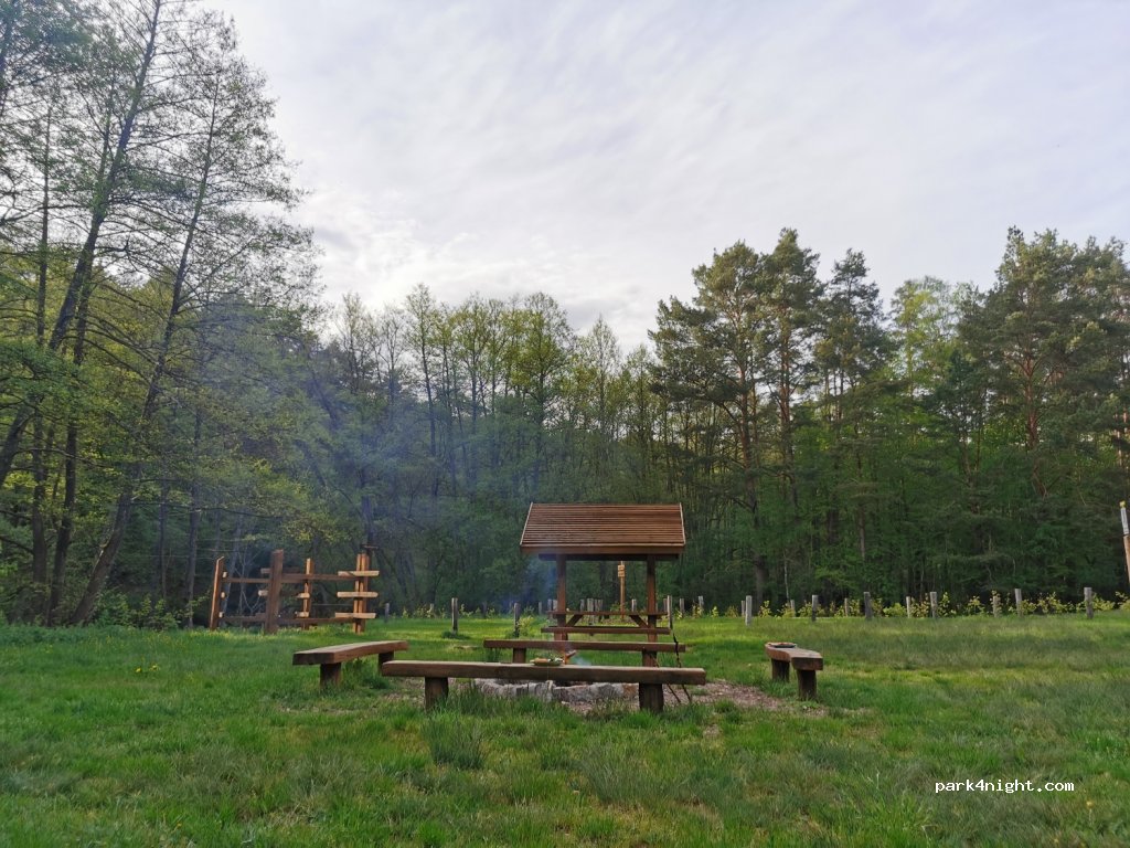 Pole namiotowe DPN Kamienna — foto 2