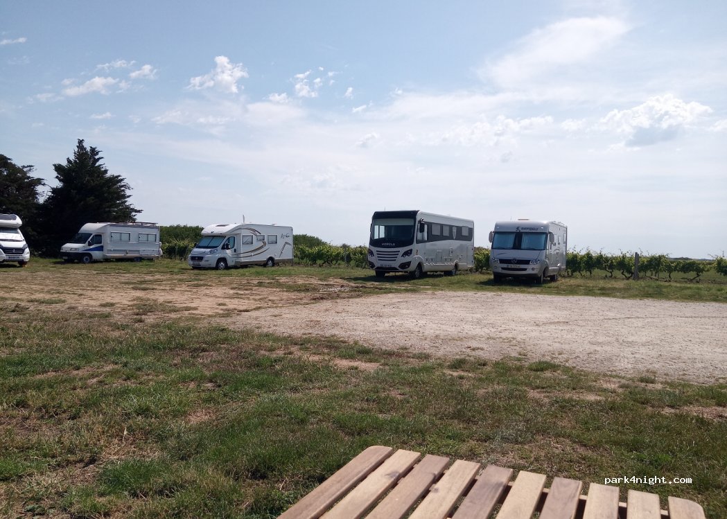 Vignoble Maxime PINARD — foto 3