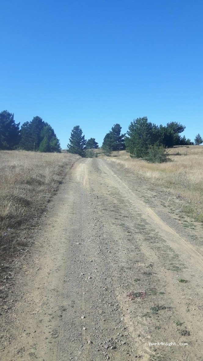 (37700)  - Unnamed Road — foto
