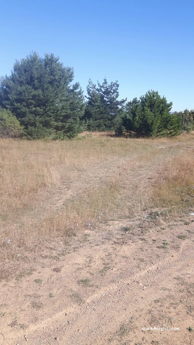 (37700)  - Unnamed Road — foto 2