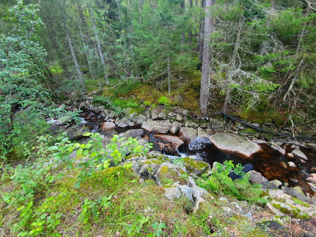 (4742)  - 29 Sekundær Fylkesveg 321 — foto 3