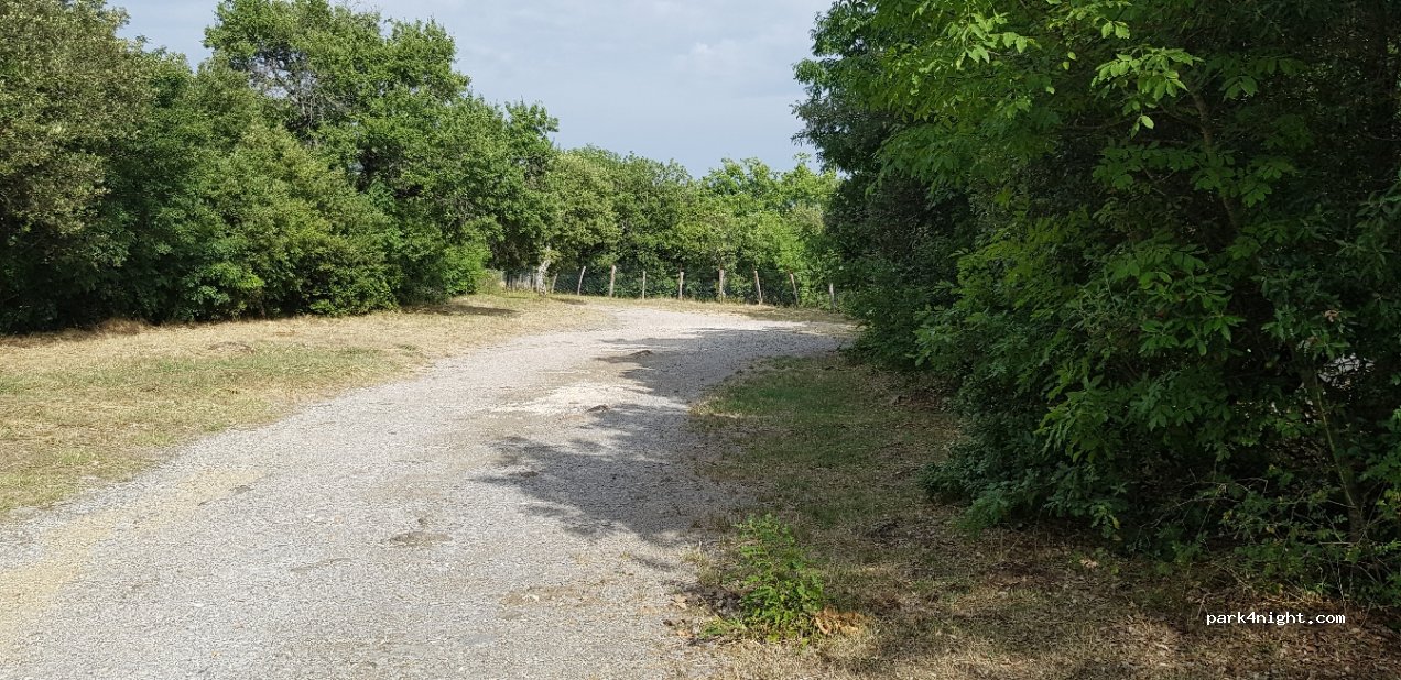 (53019) Castelnuovo Berardenga - Strada Provinciale 73/a di Monteluco — foto 2