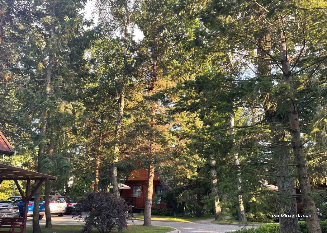 Camping Filarówka — foto 2