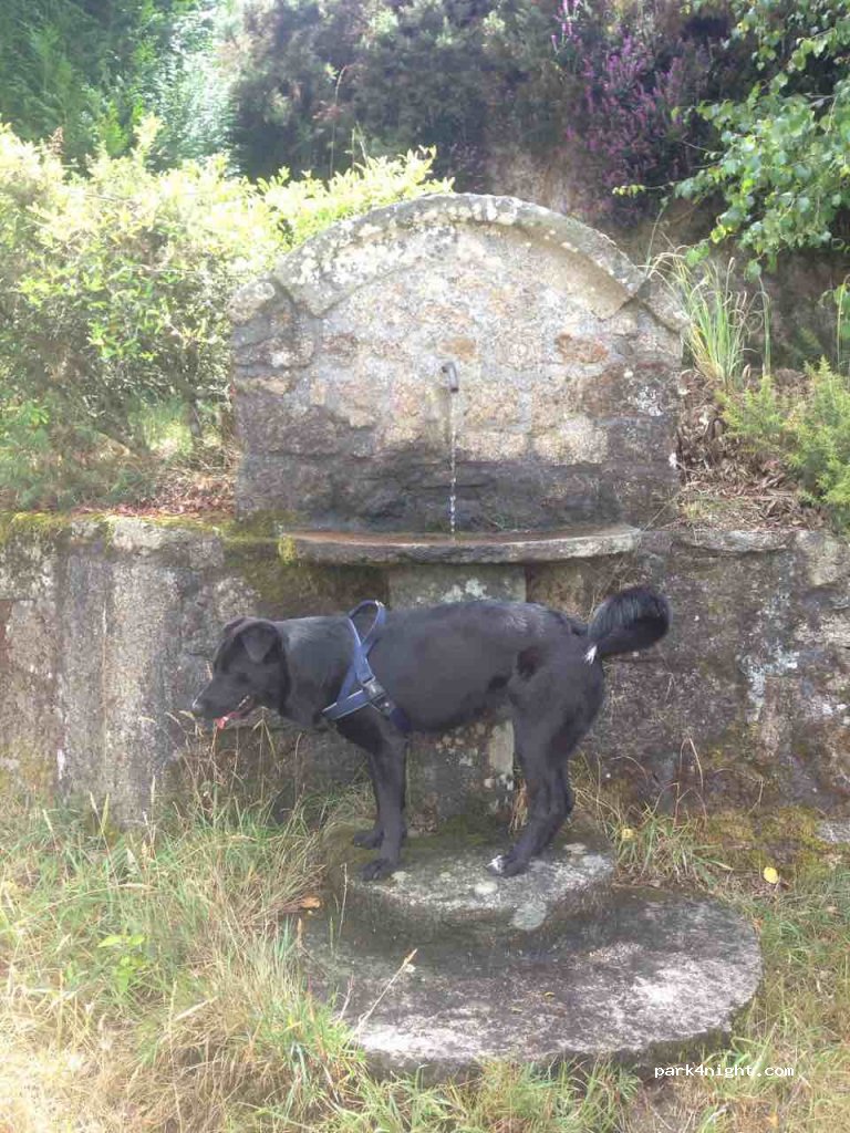 (32655) Rairiz de Veiga - Estrada de Xinzo — foto 2