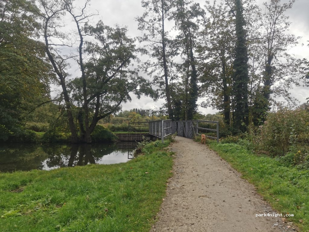 (46325) Borken - Hagenstiege — foto 3