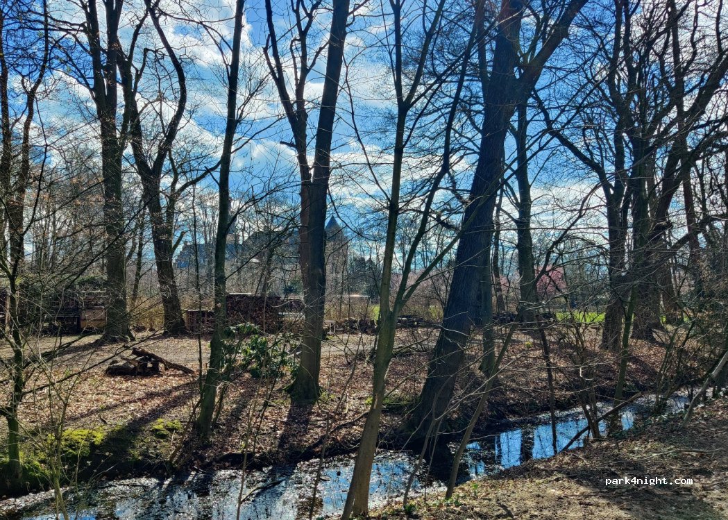 (46325) Borken - Hagenstiege — foto 4