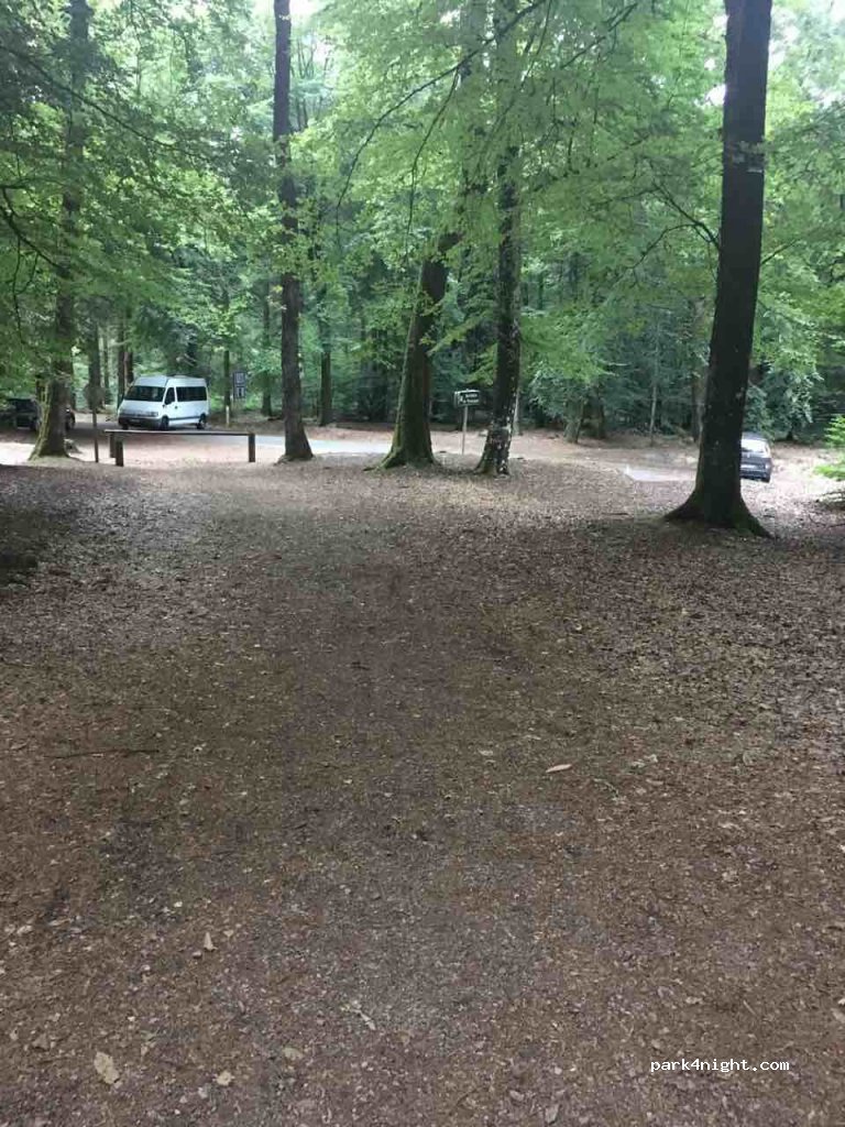(72600) Louzes - Route Forestière d'Ailières — foto