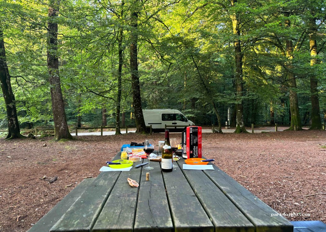 (72600) Louzes - Route Forestière d'Ailières — foto 4