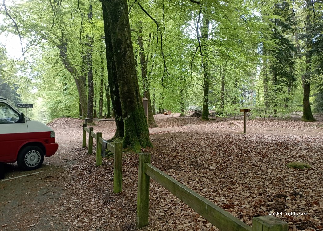 (72600) Louzes - Route Forestière d'Ailières — foto 5