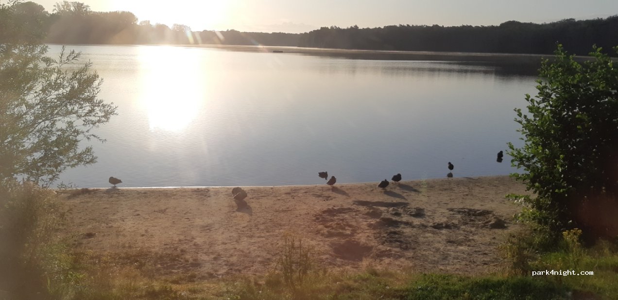 (2300) Turnhout - 1 de Picken — foto 3