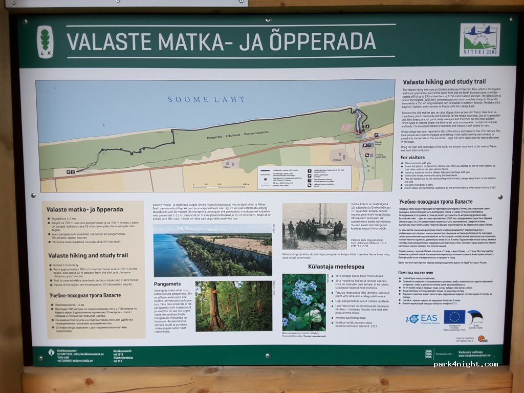 (41557) Valaste - — foto