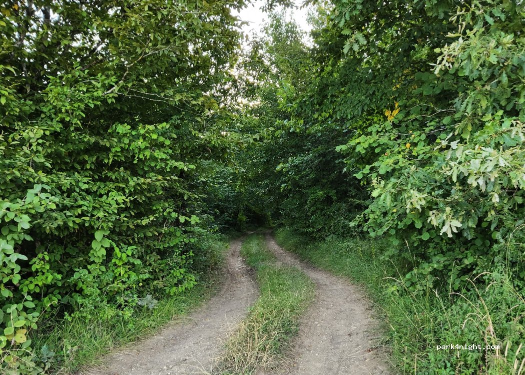 (10310) Ville-sous-la-Ferté - Unnamed Road — foto 4