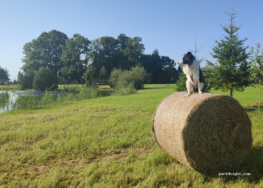 Camping — foto 2