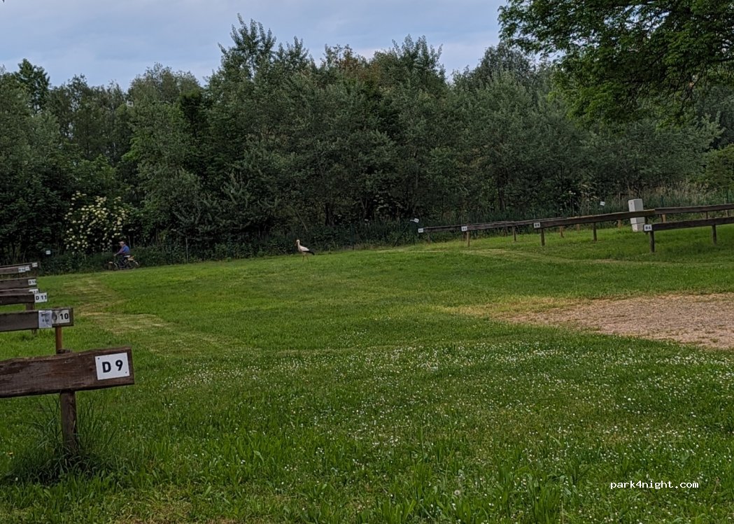 Camping Resort Rülzheim — foto