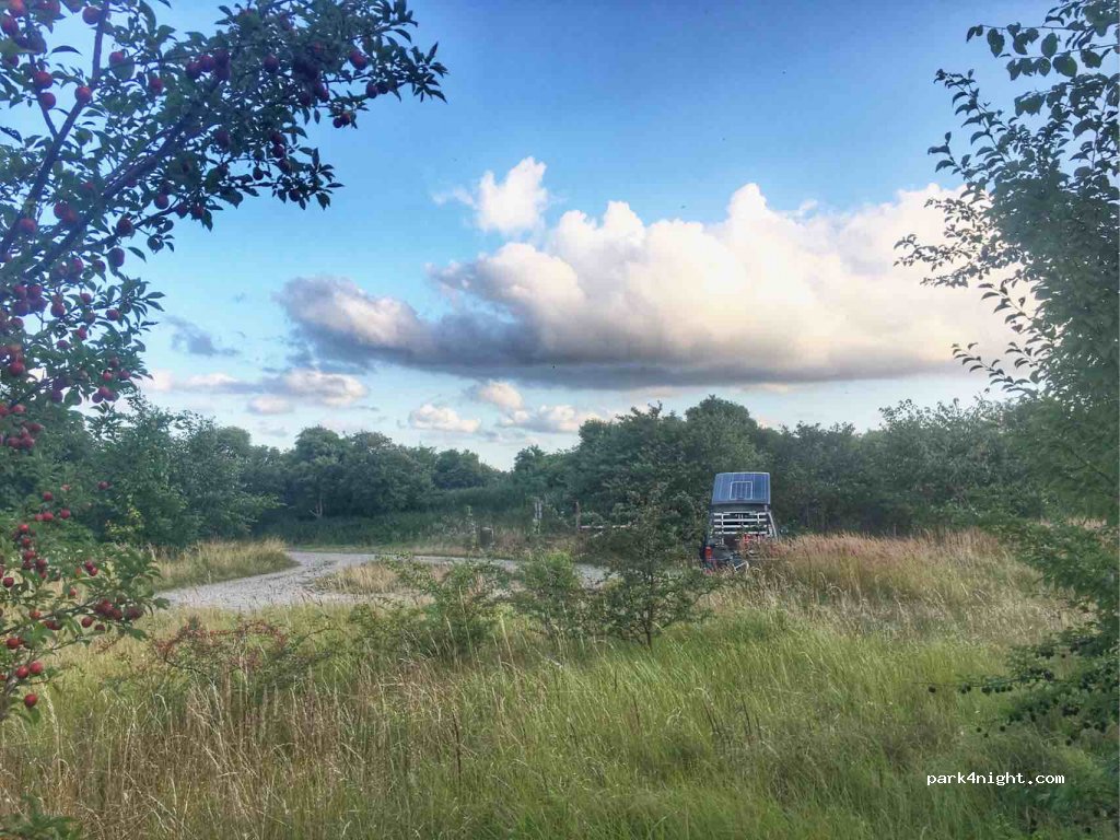 (4780) Stege - 17 Strandvej — foto 2
