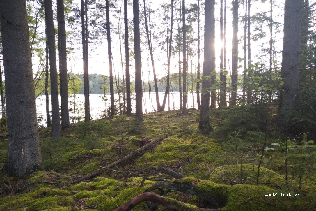(287 92) Traryd - Trarydsallén — foto 2