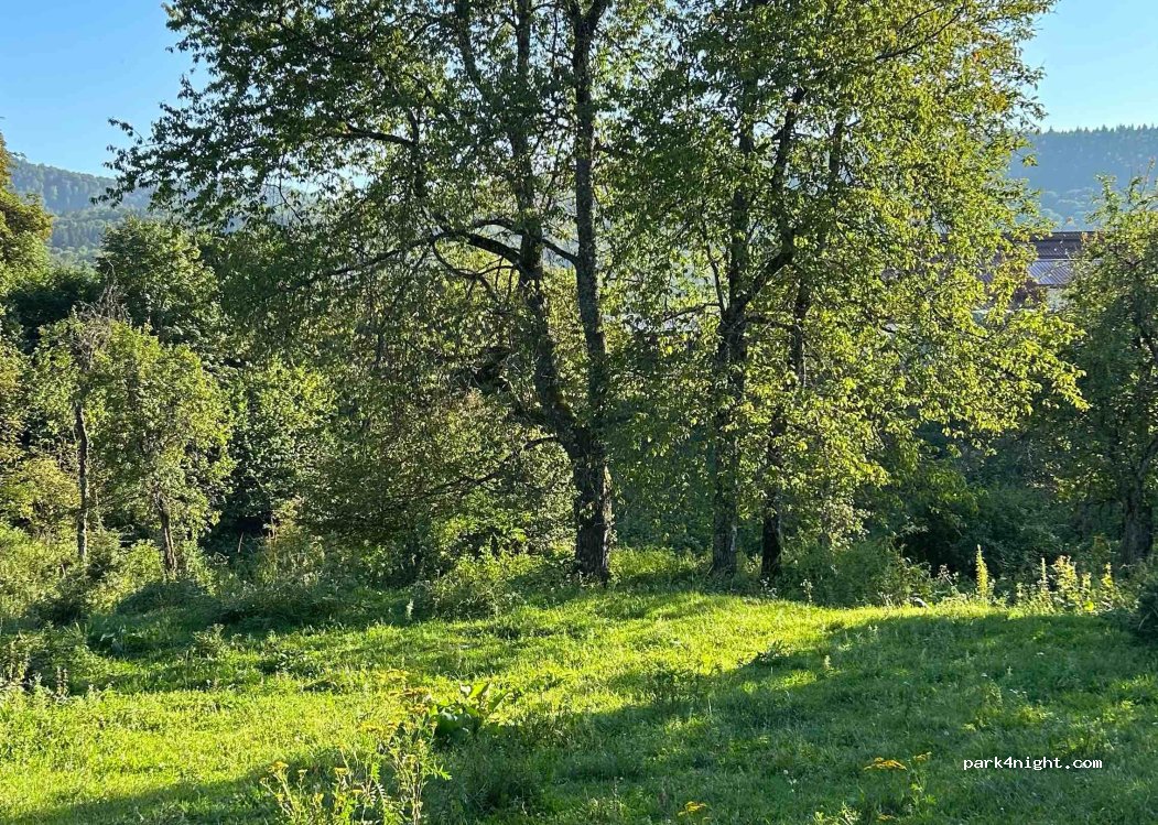Alojz Brdnik - Nosilec dopolnilne dejavnosti na kmetiji — foto 3