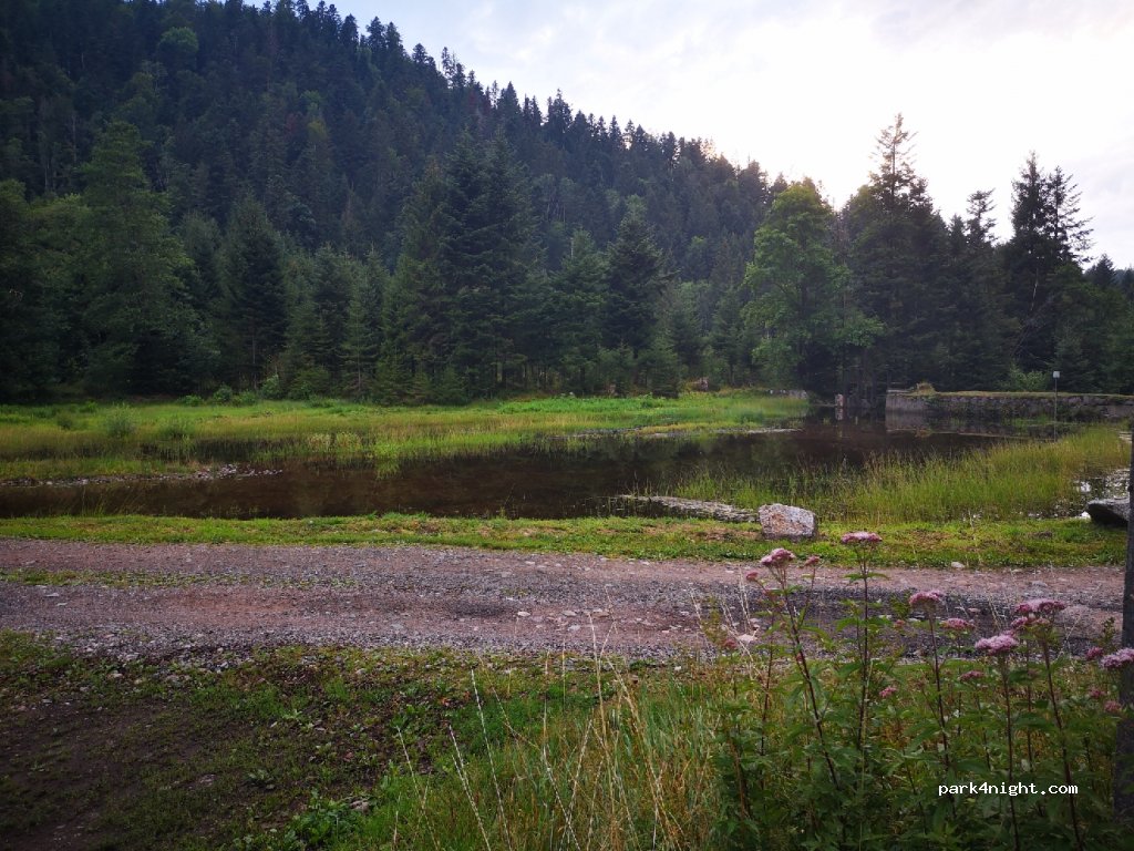 (88560) Saint-Maurice-sur-Moselle - Rue de Presles — foto