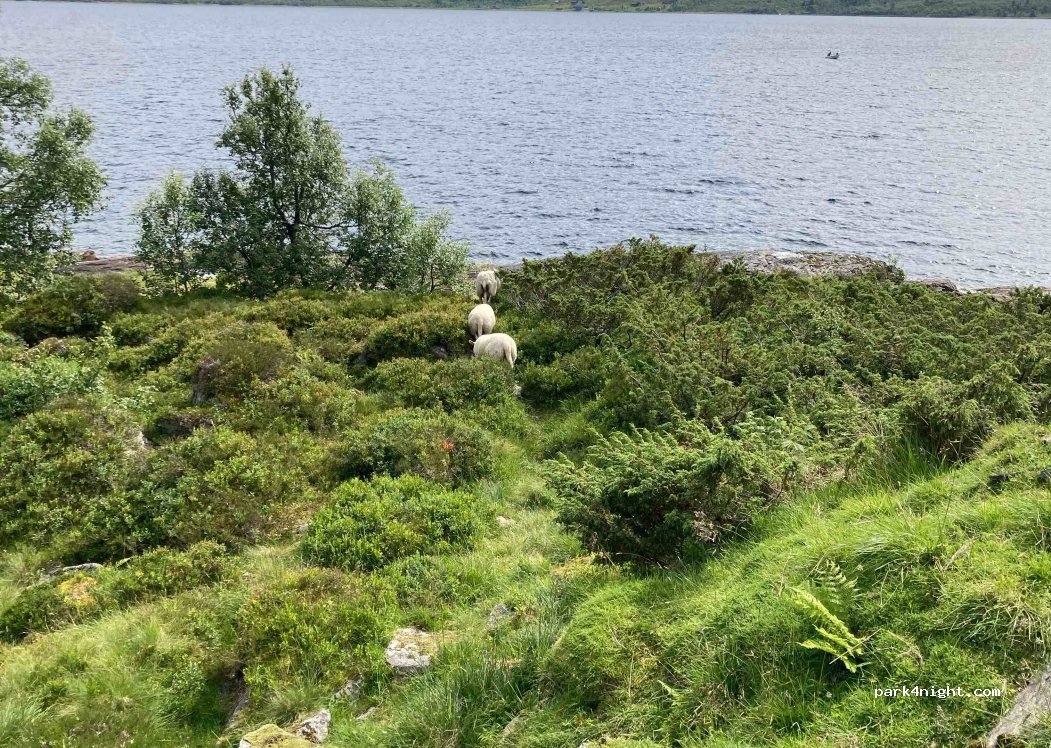 (5700) Voss - 61 Sekundær Fylkesveg 314 — foto 2