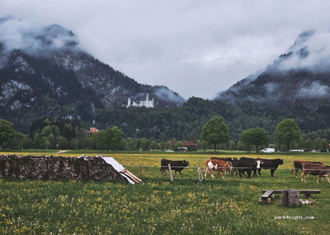 Jägerhof Schwangau — foto 5