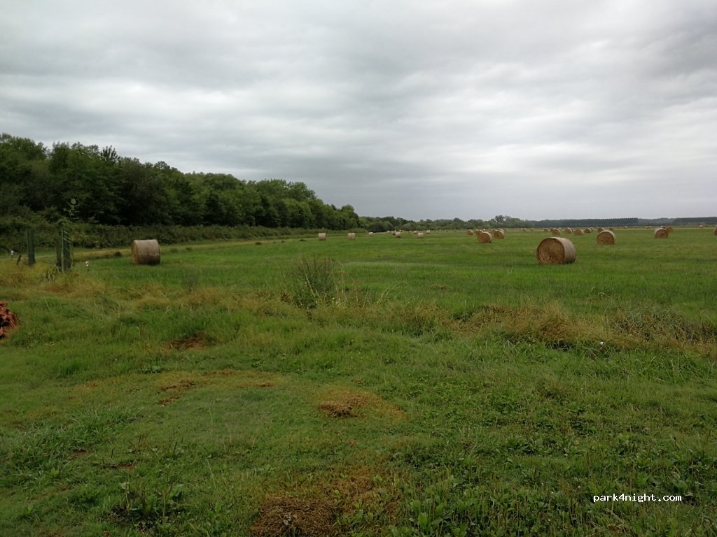 (40300) Saint-Étienne-d'Orthe - Chemin des Barthes — foto
