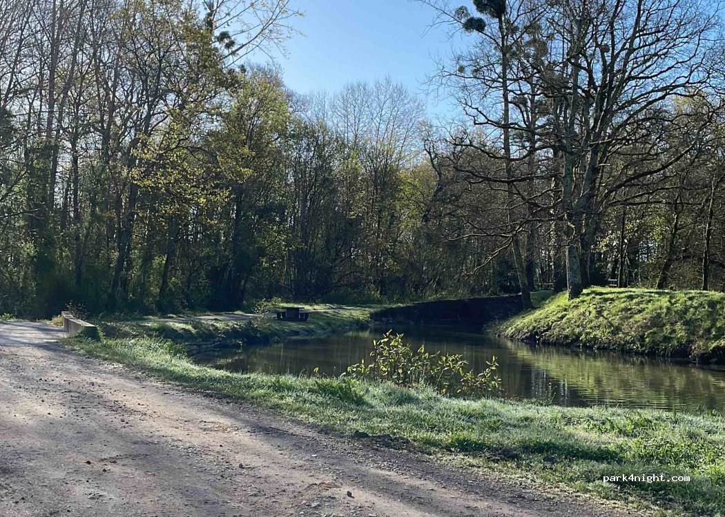 (40300) Saint-Étienne-d'Orthe - Chemin des Barthes — foto 5
