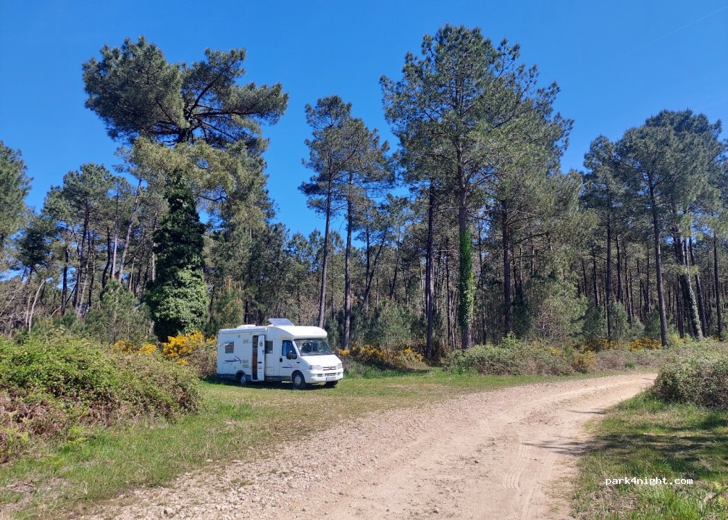 (40110) Onesse-Laharie - Unnamed Road — foto