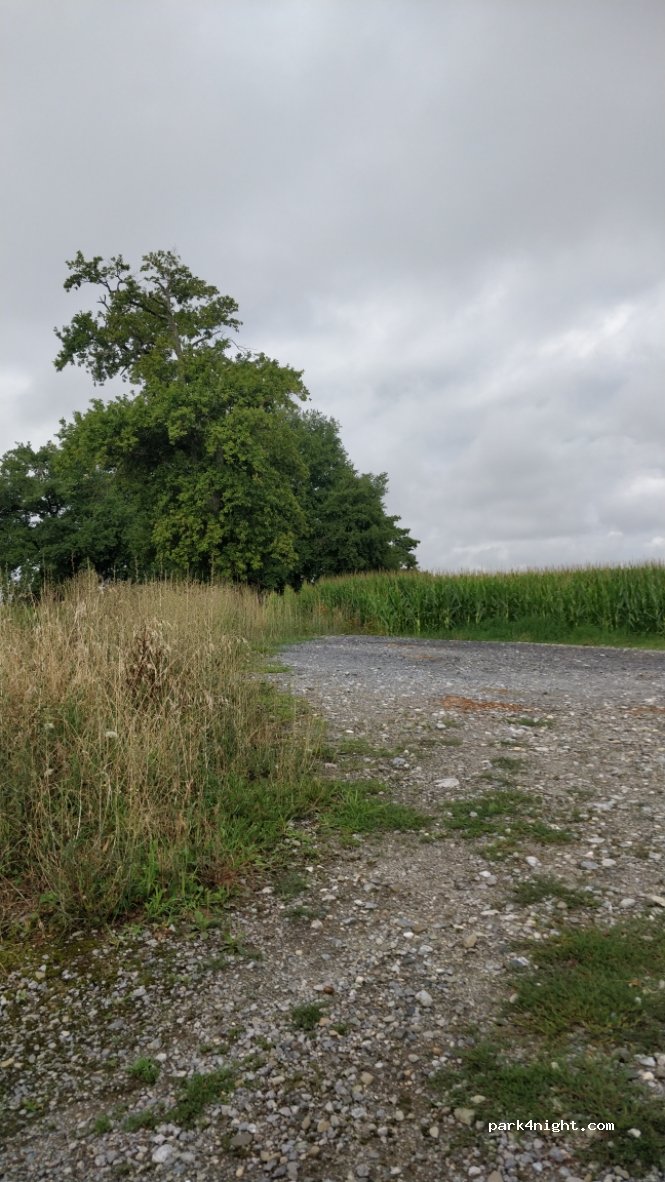 (64360) Lucq-de-Béarn - Chemin de Haut Affites — foto 2