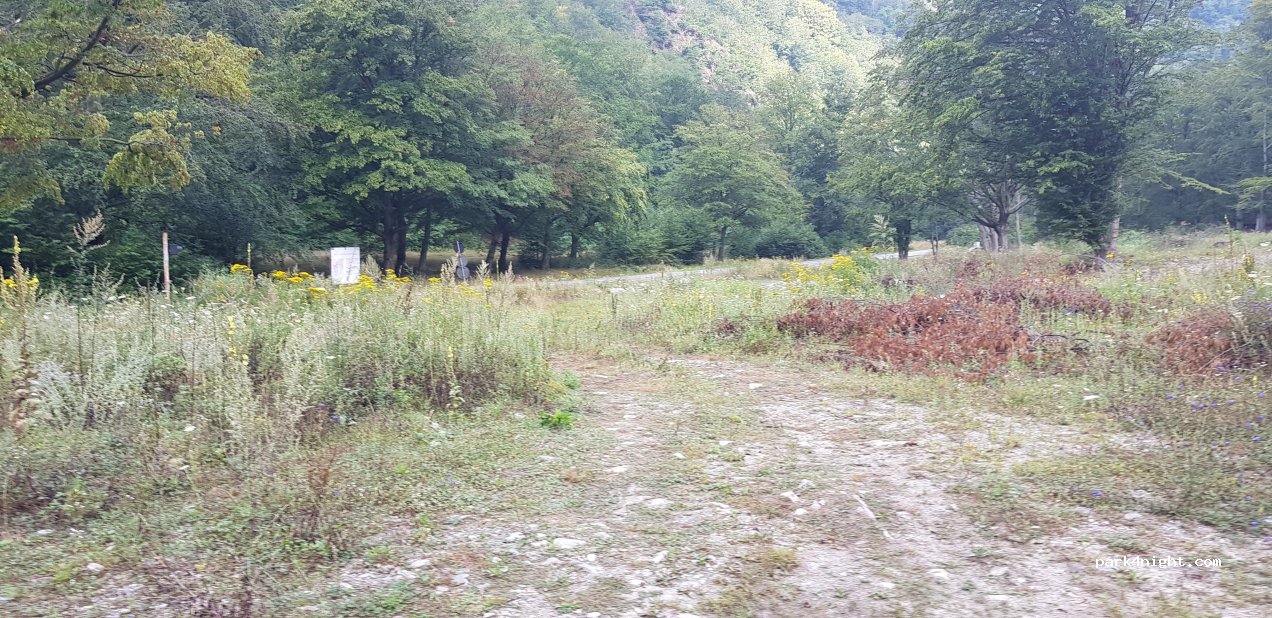 () Bumbești-Jiu - DN66 — foto