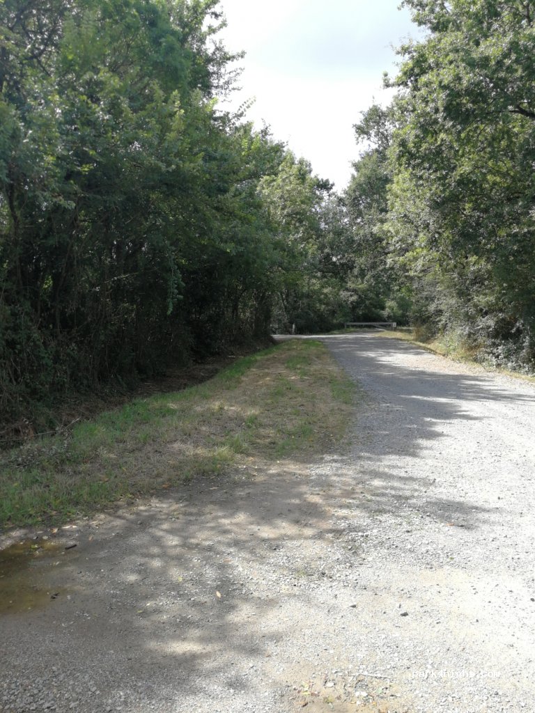 (44860) Pont-Saint-Martin - 12 Impasse de la Nivardière — foto