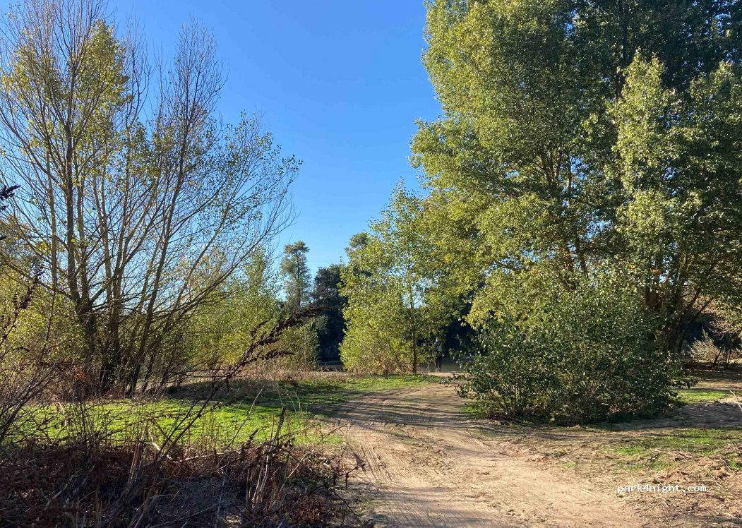 (47132) San Miguel del Pino - Camino Molino — foto 2
