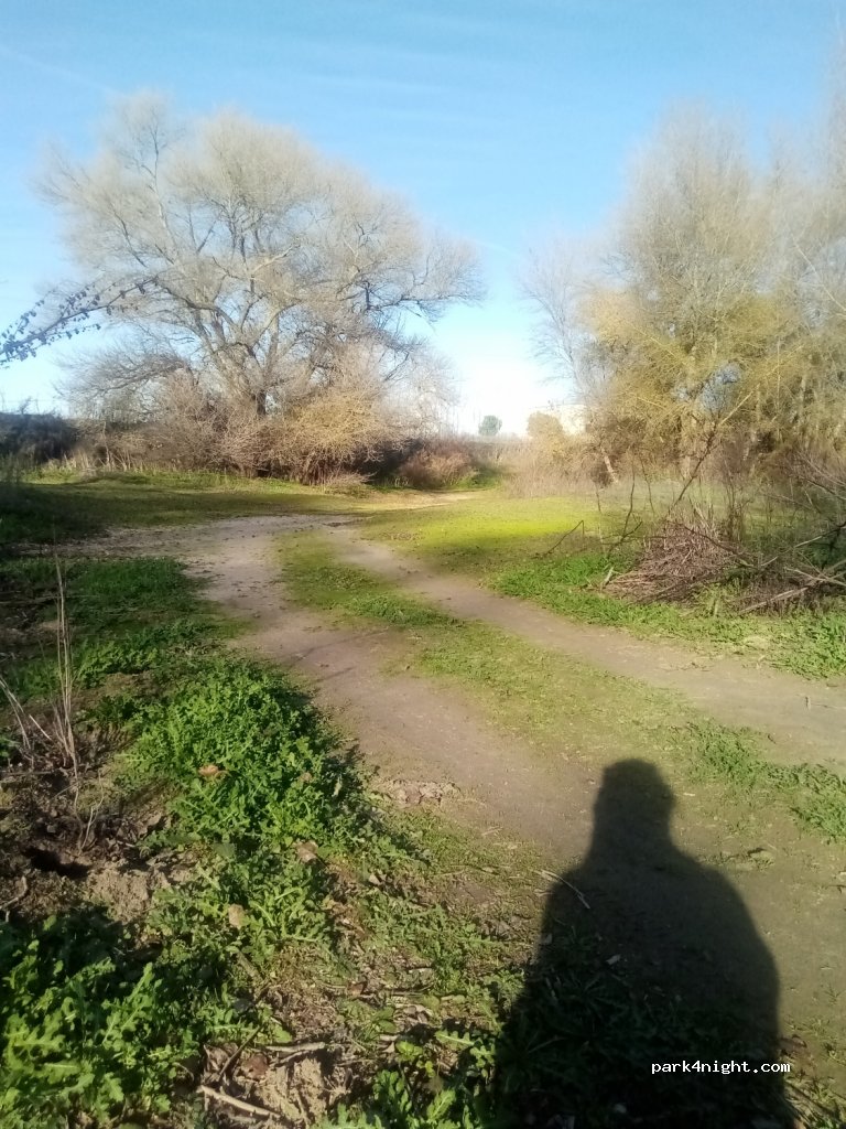 (47132) San Miguel del Pino - Camino Molino — foto 4