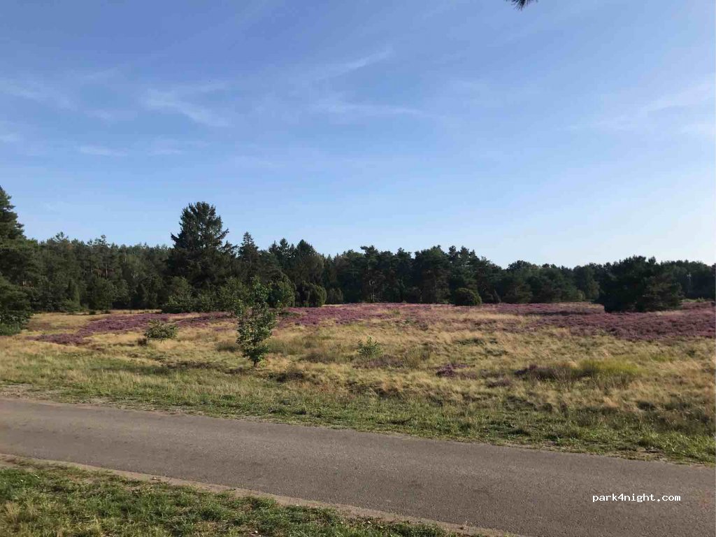 (29328) Faßberg - 1A Gerdehaus — foto