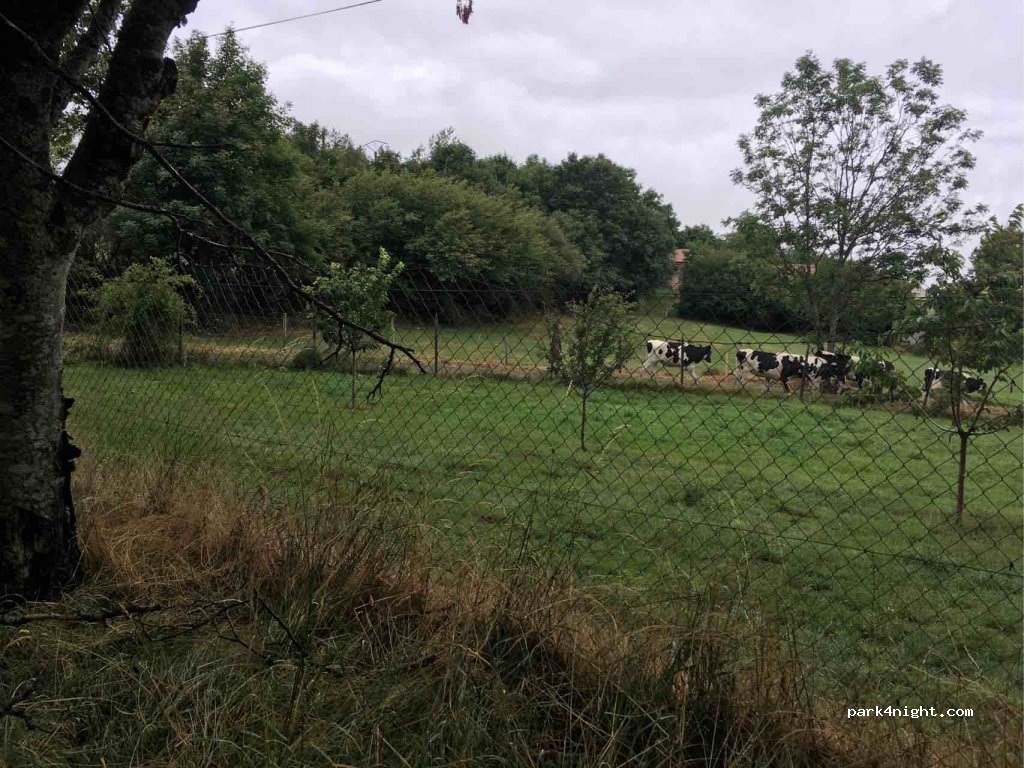 (42220) Thélis-la-Combe - Lestival — foto 2