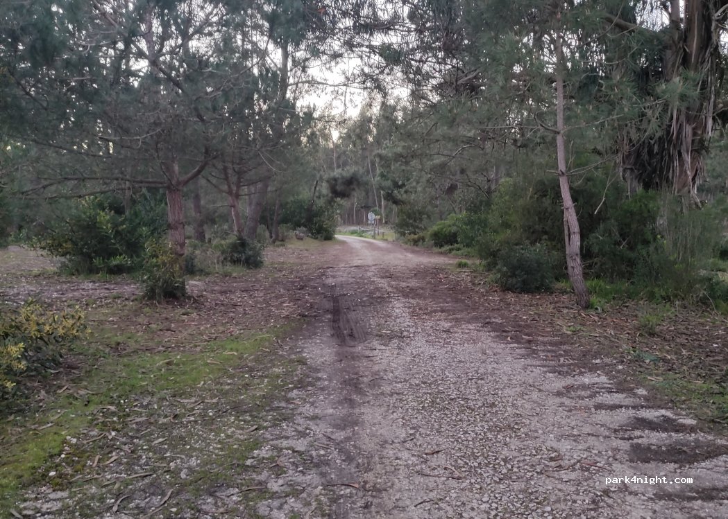 (2510-662)  - Unnamed Road — foto 5