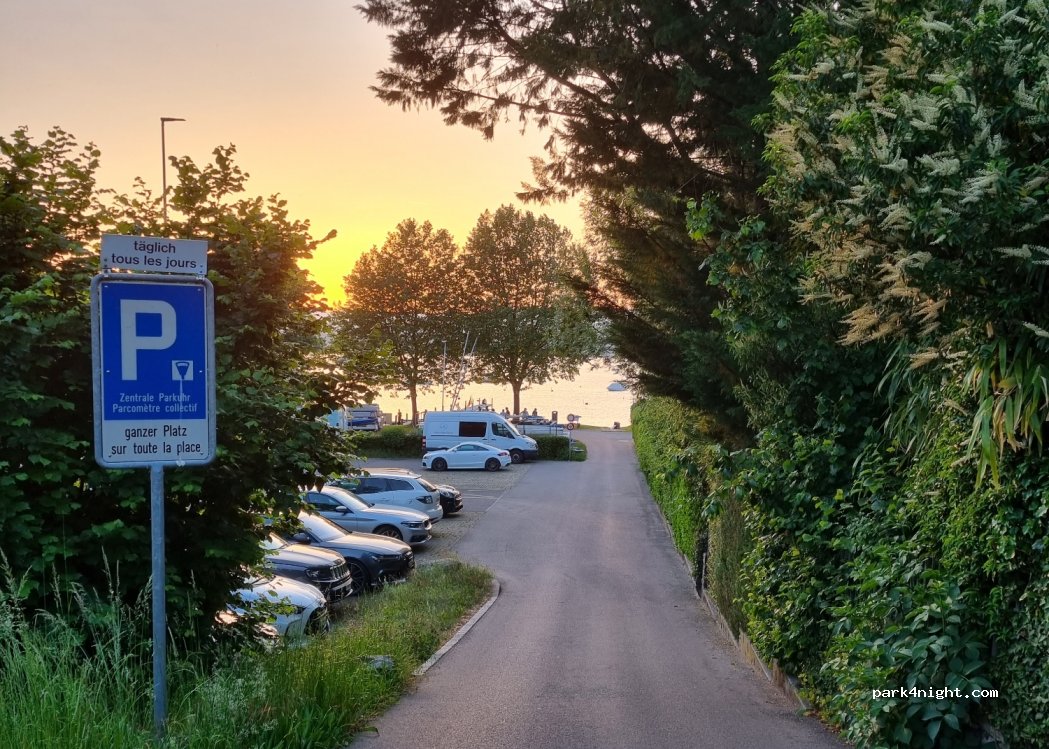 (3280) Murten - 13 Ryf — foto 3