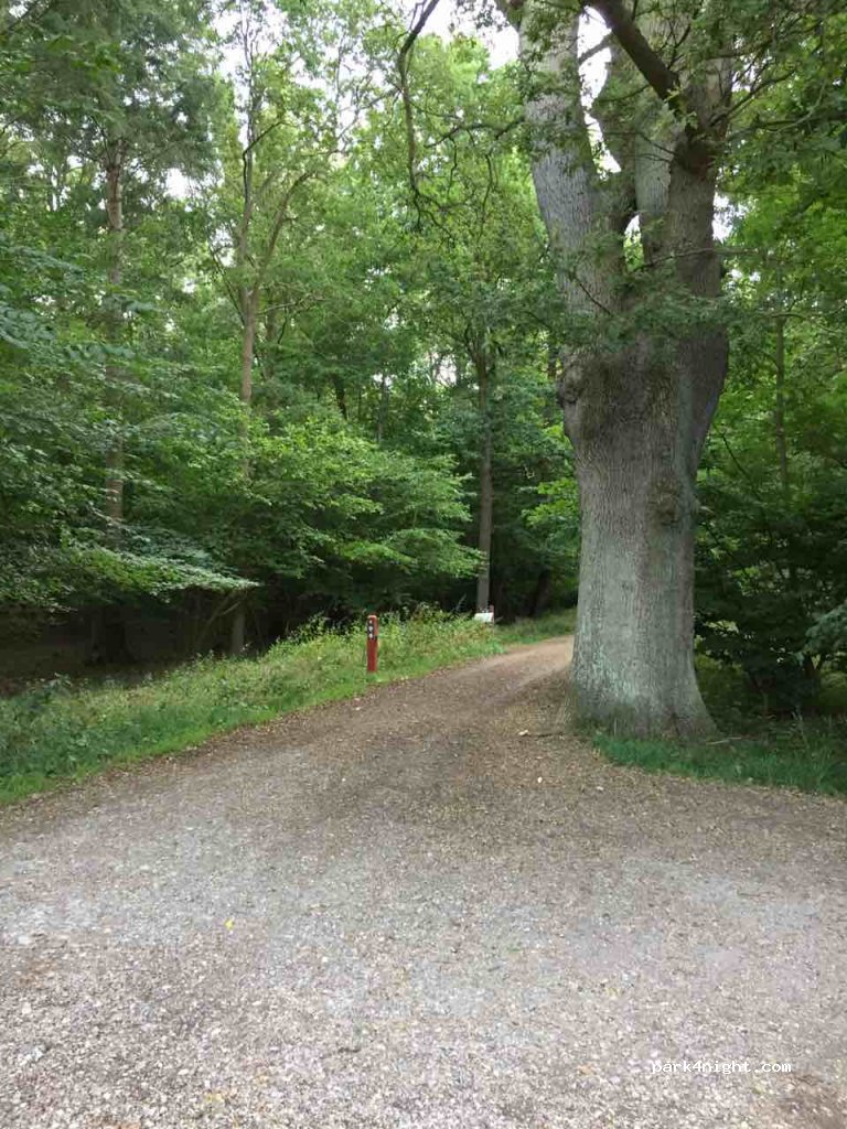 (4000) Roskilde - 81 Boserupvej — foto