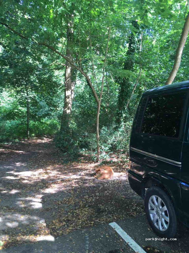 (2061 CV) Bloemendaal - 8 Koepellaan — foto 2