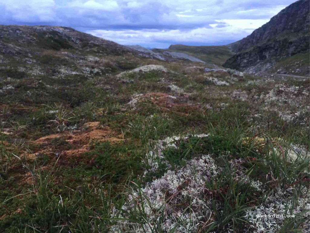 (6893) Vik i Sogn - Unnamed Road — foto