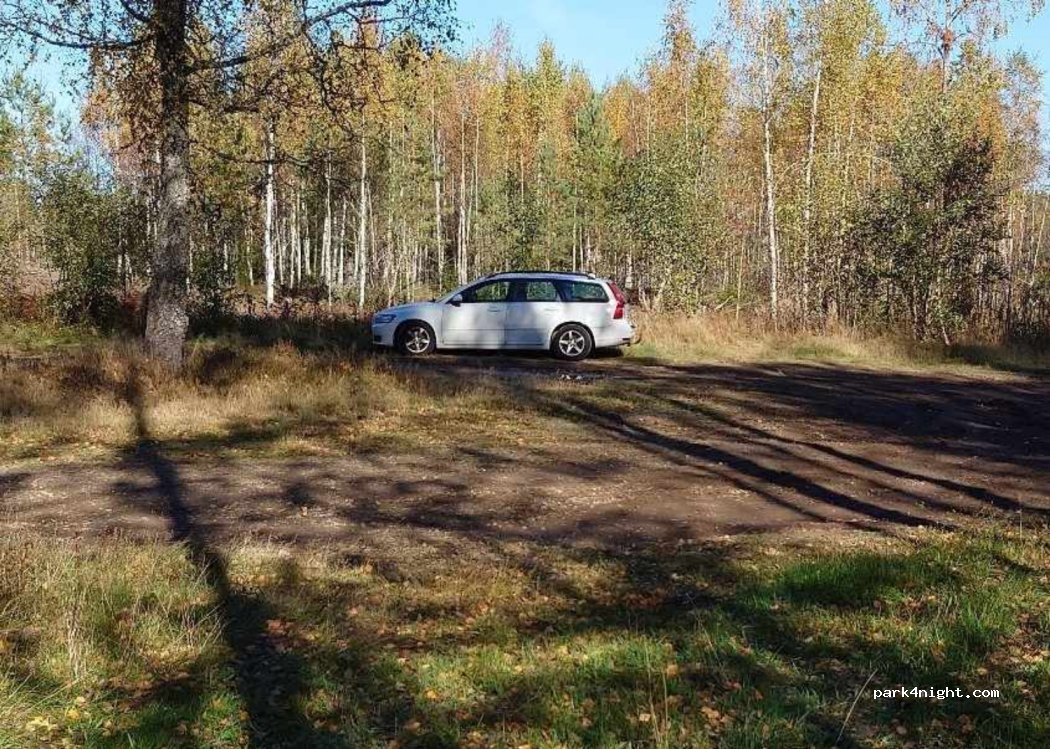 (450 63)  - 12 LJUSEBRÅTEN — foto 4