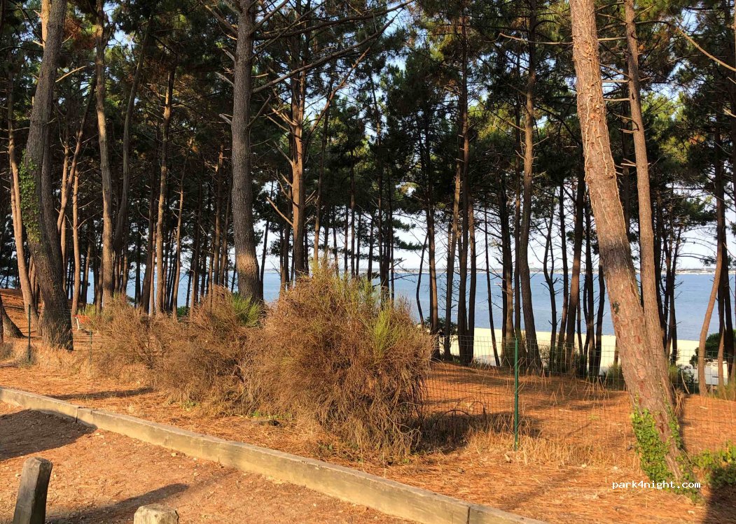 (33120) Arcachon - 20-10 Avenue des Goélands — foto 3